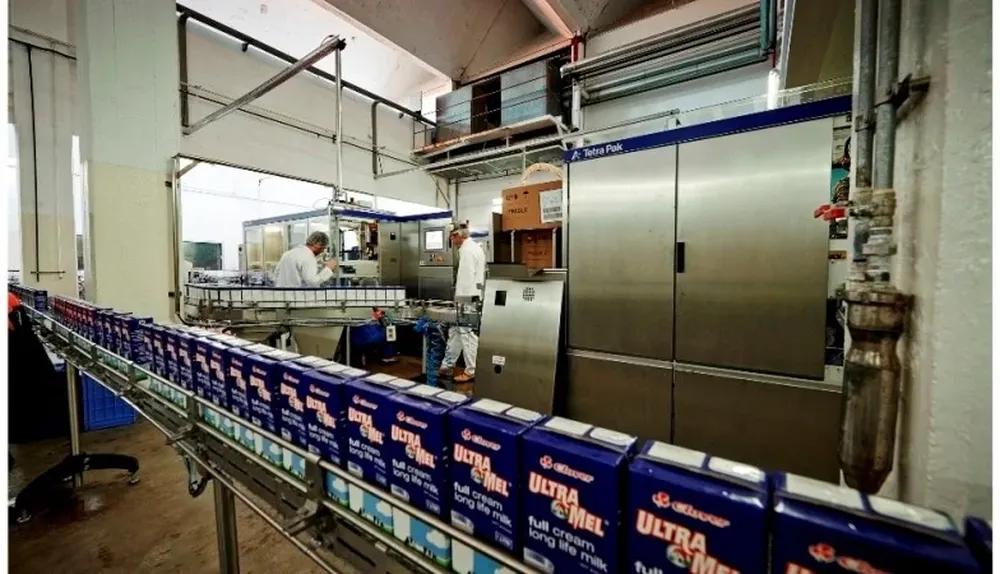 Los precios de Fonterra se ubicaron un 48% por debajo del último remate del año pasado
