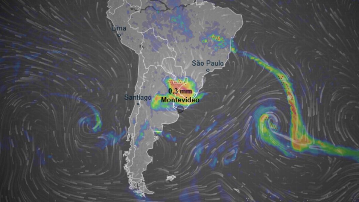 Imagen noticia completa