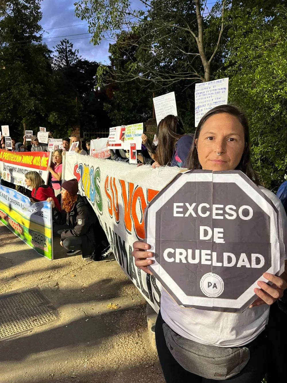 Movida de la Plataforma Animalista.