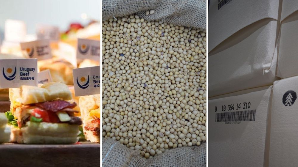 Carne vacuna, soja y celulosa: los motores más potentes en las exportaciones uruguayas.