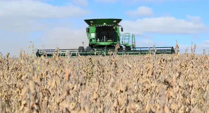 Exportaciones cayeron levemente en noviembre, pero zafan del rojo en acumulado anual