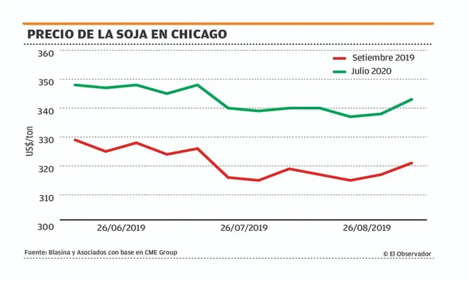 Saltó la soja en Chicago, pero la duda es cuánto ajustarán los precios locales