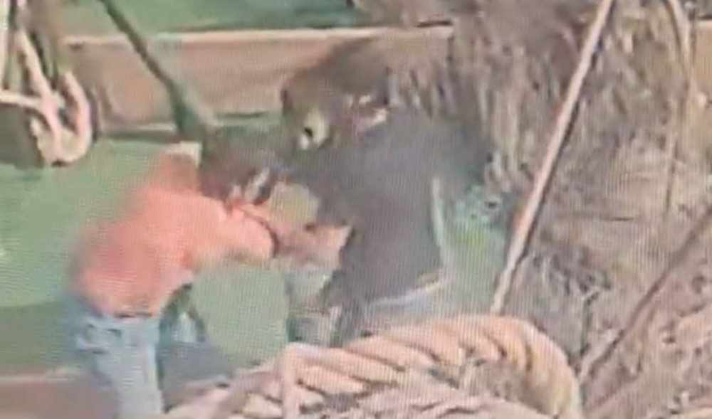 Captura de pantalla del video que compartió la cámara pesquera