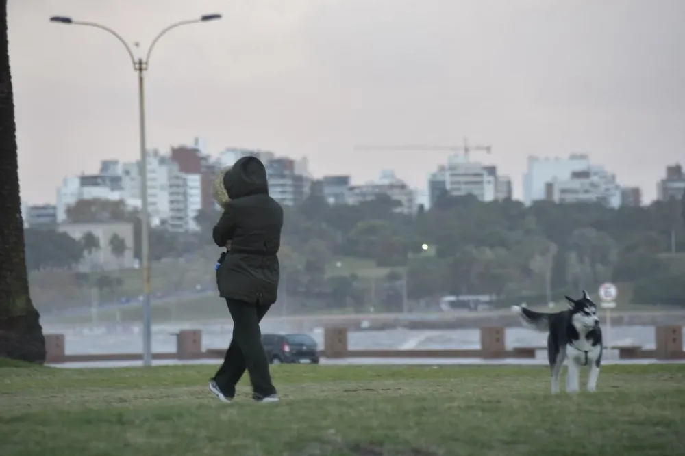 Inumet espera rachas de viento de 50 km/h en la mañana y de hasta 50-60 km/h en una tarde/noche ventosa