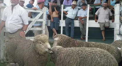 El Observador | 0000064941.webp