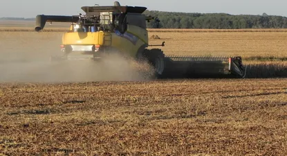 Las exportaciones de soja mostraron un fuerte dinamismo en abril.