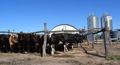 Producción de leche en Canelones.