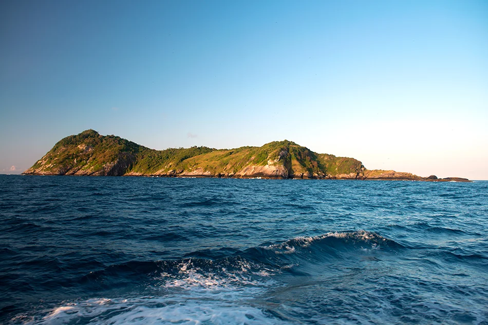 Ilha da queimada grande