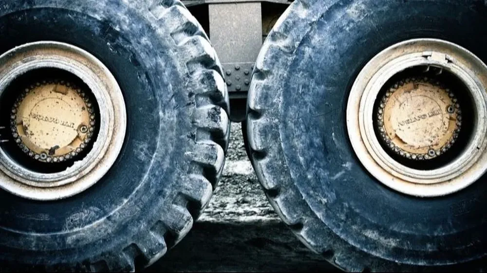 Camión embistió a un grupo de vacunos suelto en San José.