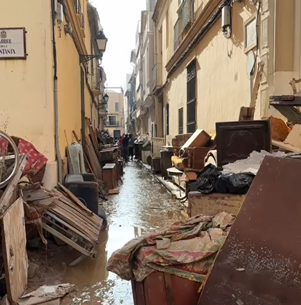 Captura de pantalla 2024-11-06 120926.png