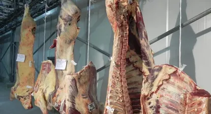 El Observador | 0002500783.webp