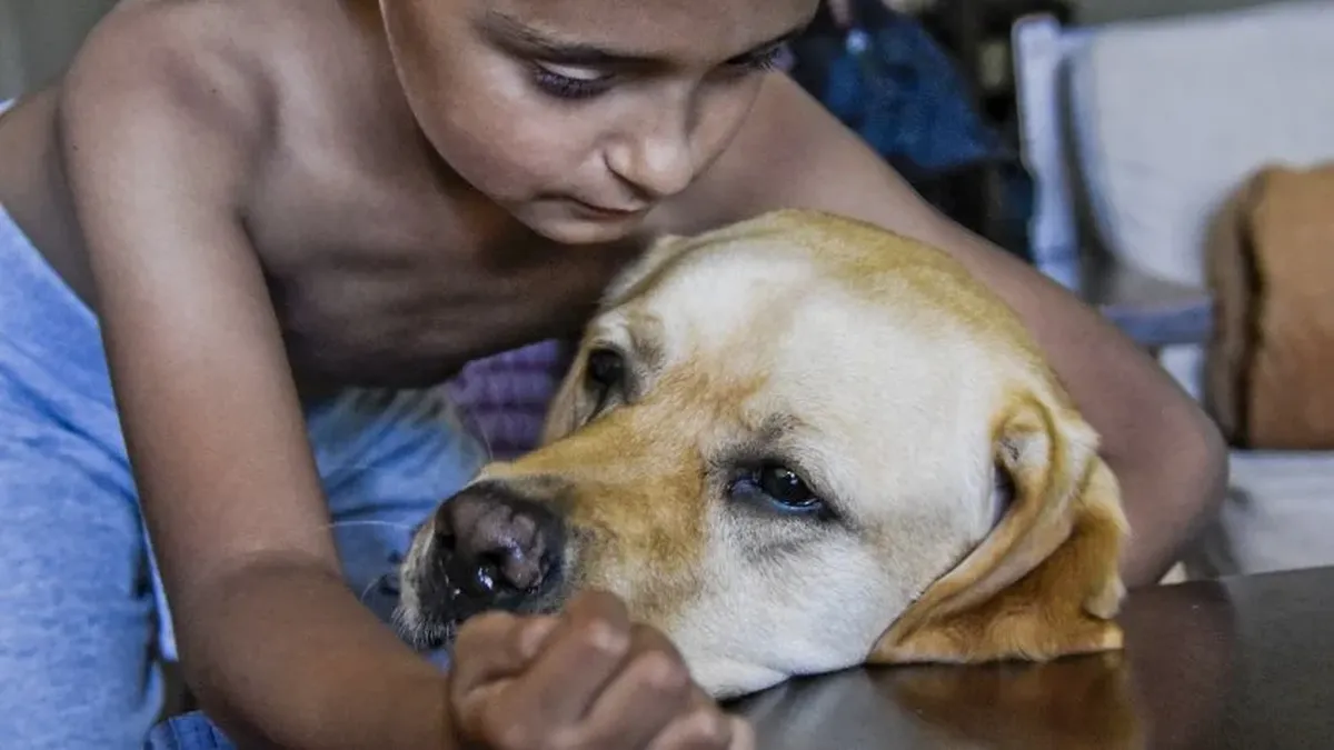 Perros guía al servicio de niños con autismo