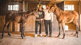 Diego Ifrán, junto a Gonzalo Castro, en su haras Viejo Paco.