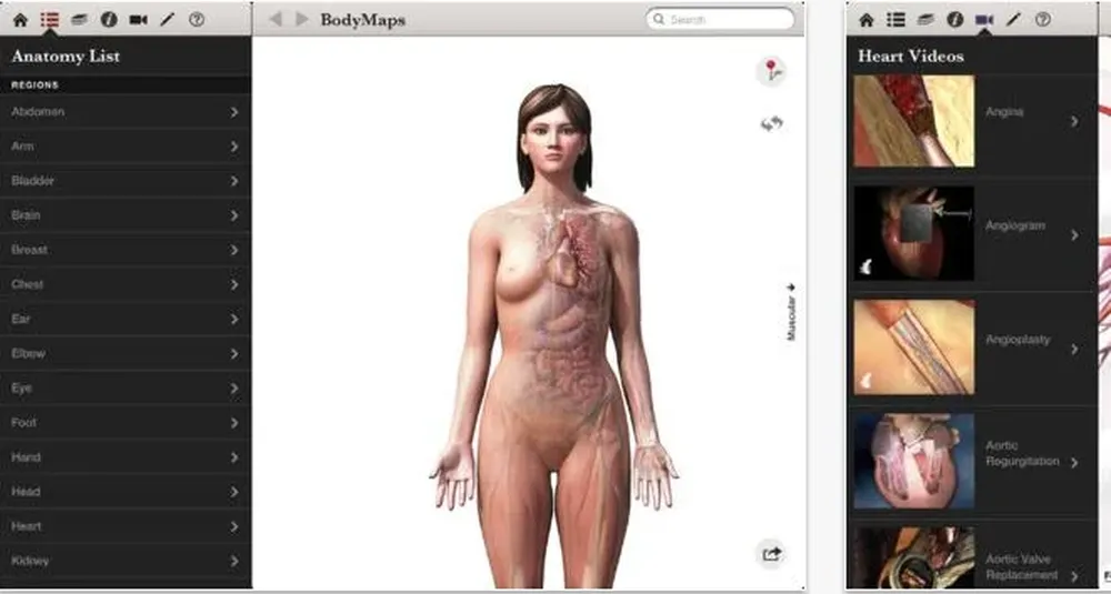 La aplicación muestra el cuerpo humano femenino y masculino, y ofrece más de 1.000 imágenes en alta resolución y 3D que pueden buscarse en un índice