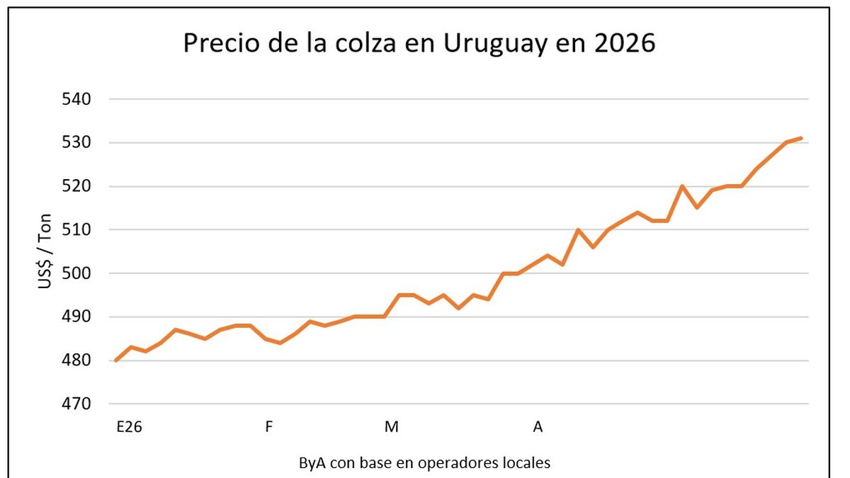 Volatilidad en un mercado de granos nervioso por una guerra que se estira y subas valiosas para Uruguay