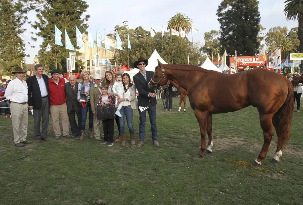 El Mejor Ejemplar sin distinción de sexo en la pista del Cuarto de Milla.