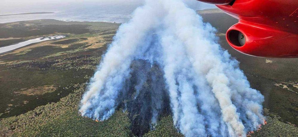 El incendio en Sea Lion Island