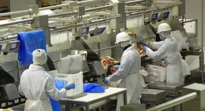 Empresas no divulgan experiencias de productividad por la competencia