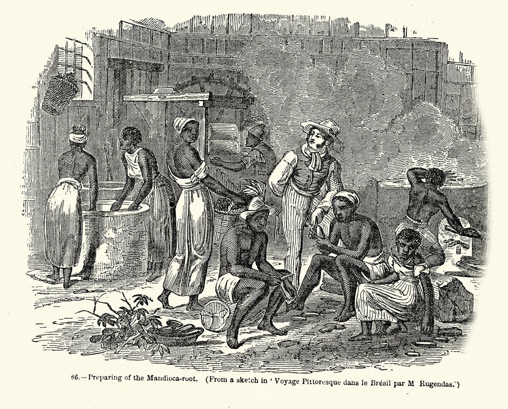 Los historiadores resaltan como uno de los aspectos positivos del "Monagato" la abolición de la esclavitud en 1854.