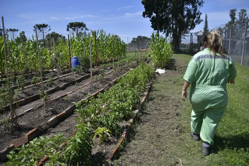 20% del tiempo de las mujeres en Uruguay se destinó a trabajo no remunerado en el hogar y en los cuidados.