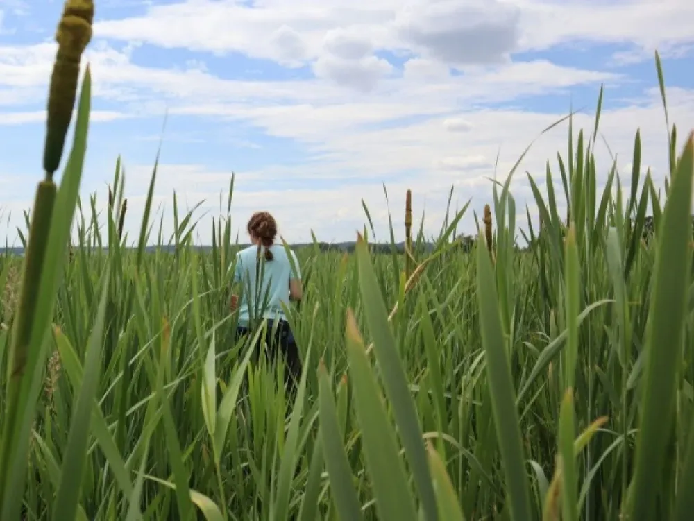 En un año, una hectárea de pantano seco produce tanto dióxido de carbono como un coche que circulara 145.000 kilómetros