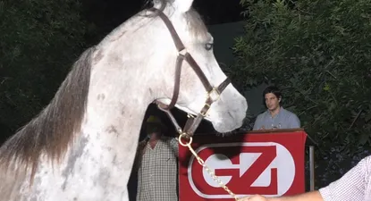 El Observador | Una oferta de alta gama remató Alejandro Zambrano