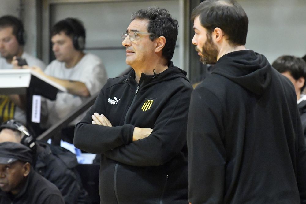 Marcelo Signorelli