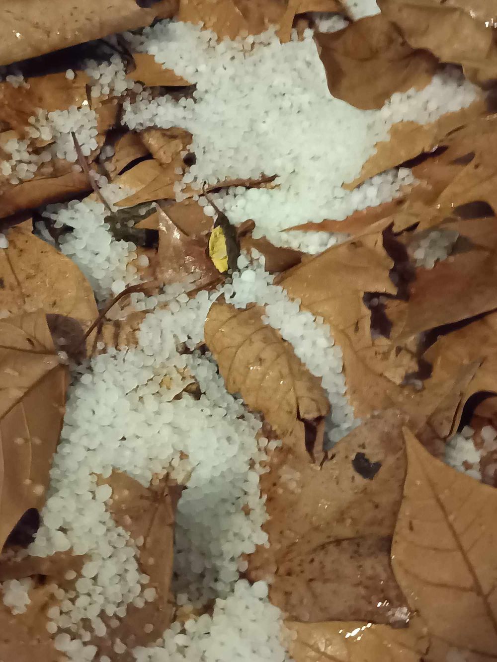 Ola de frío provocó caída de graupel