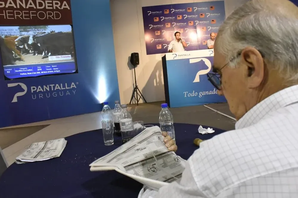 Pantalla Uruguay remata todos los fines de mes en la Rural del Prado