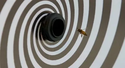 El Observador | 0000325733.webp