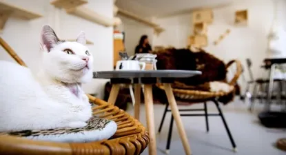 El Observador | 0000046657.webp