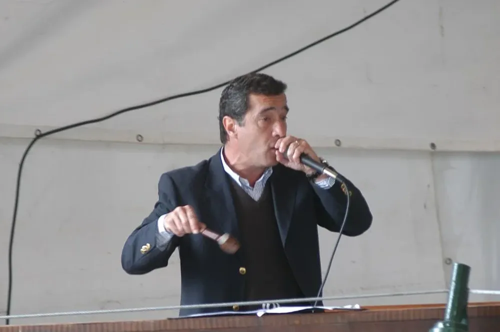 Remate a cargo del escritorio Victorica & Asociados