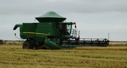Los productores arroceros planean un nuevo achique del área.
