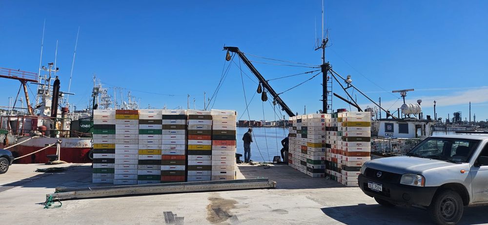 Industria pesquera, pesca, barcos, sindicato