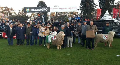 triunfos para la lucha y don alfredo en el corriedale po