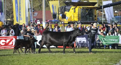 El Observador | 1663520358669.webp