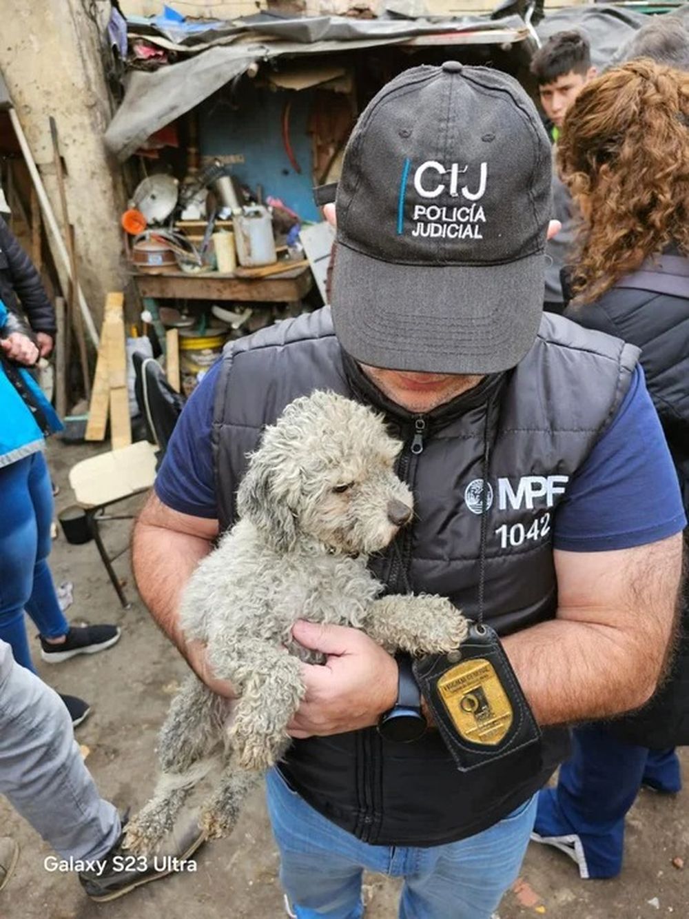 perros1.jpg
