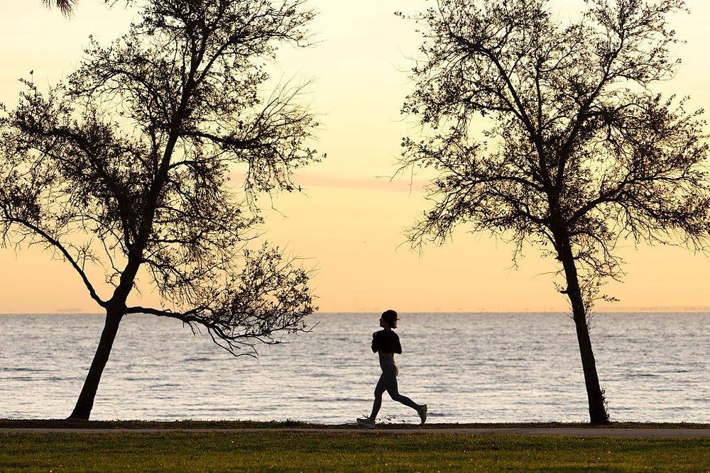 Existe evidencia de que el ejercicio regular puede reducir nuestros niveles basales de cortisol, lo que ayuda a combatir el estrés.