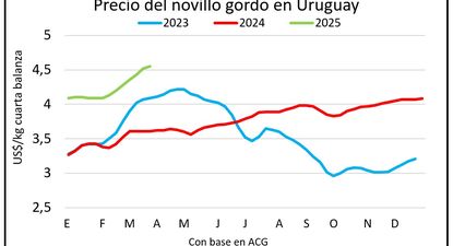 Mercado ganadero, Blasina y Asociados.