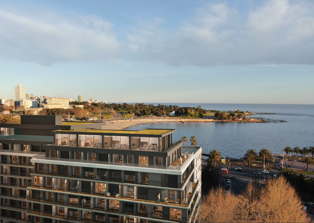 Captura de pantalla 2025-05-19 183817.png