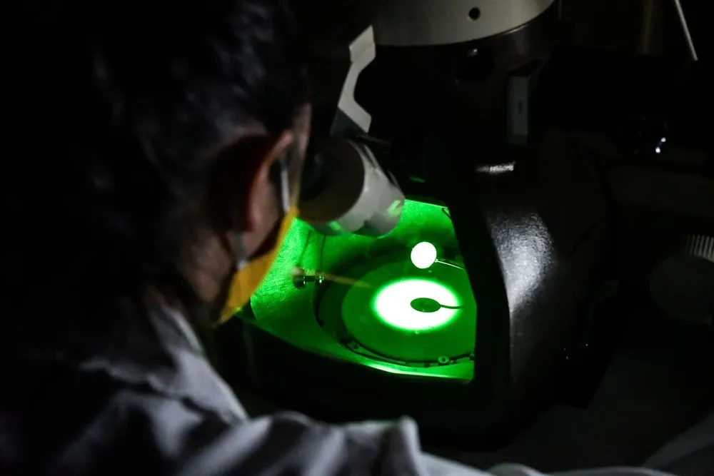 La innovación y la difusión del conocimiento están en el corazón del proceso de crecimiento