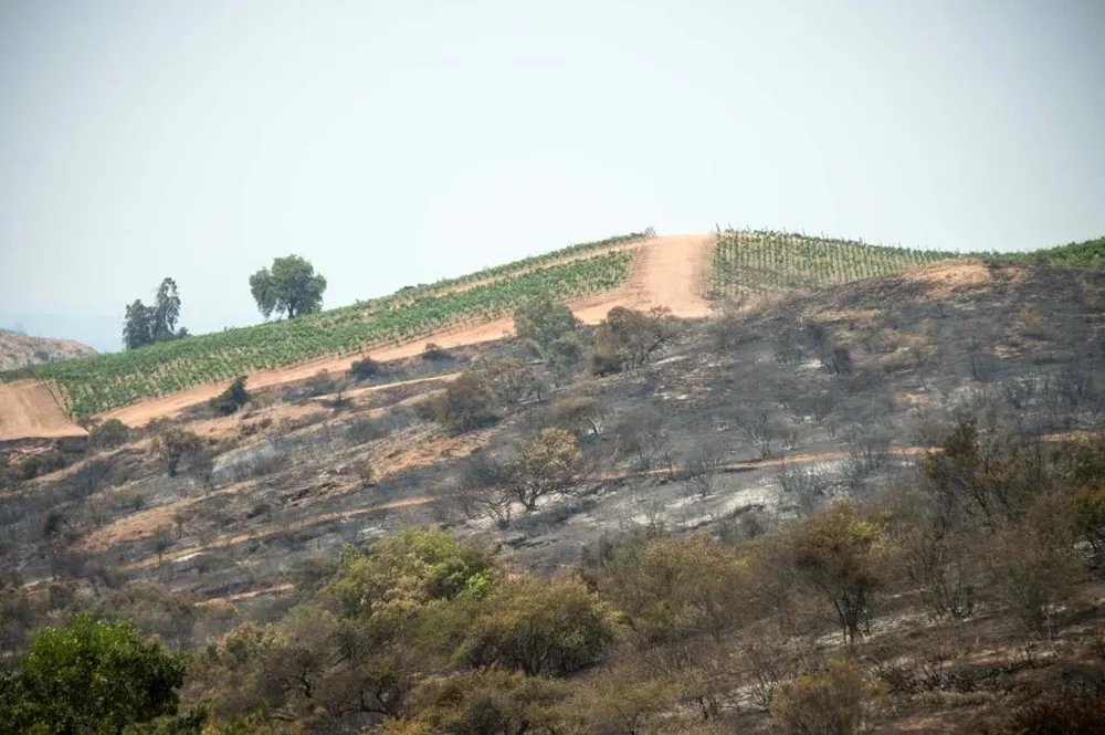 Incendios forestales en Chile