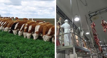 Foro Mercosur de la Carne: elogio al acuerdo entre el Mercosur y la UE.