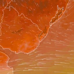 Meteorólogo anunció nueva ola de calor