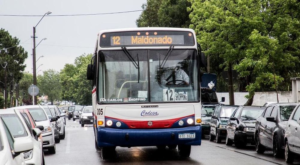 Ómnibus en Maldonado