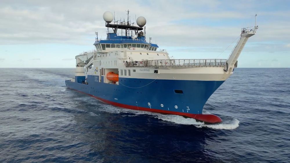 WhatsApp Image 2025-06-06 at 08.19.14.jpeg