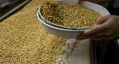 El Observador | 1588873547887.webp