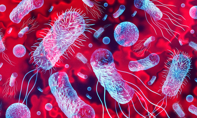 Cómo es la bacteria nunca vista en la Tierra descubierta en la estación espacial china.