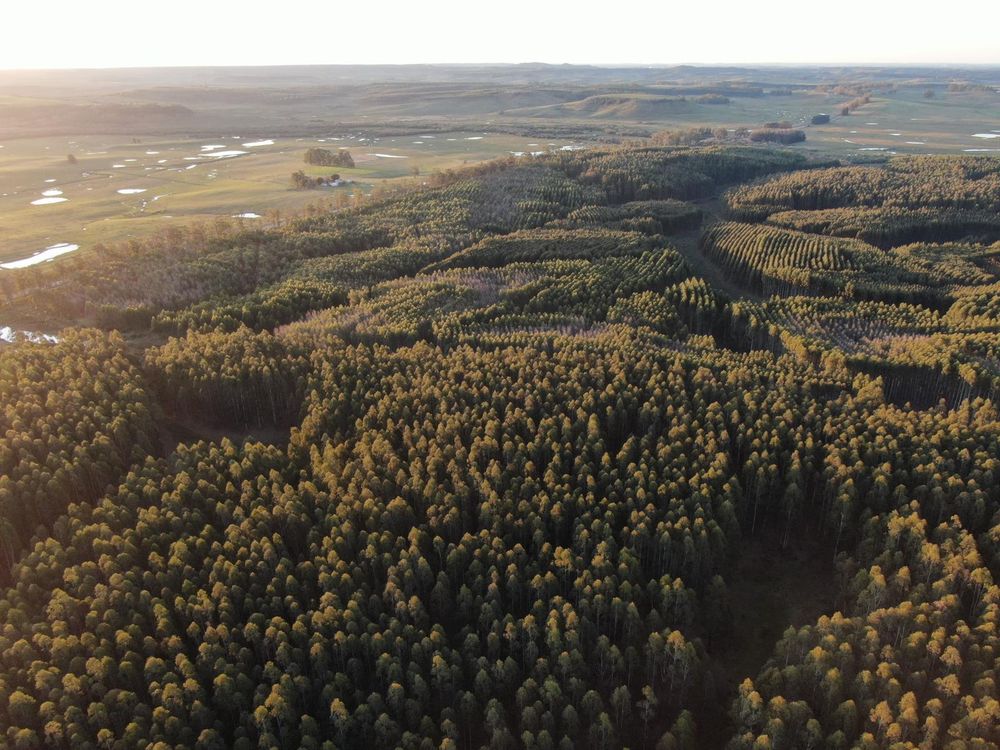 WhatsApp Image 2026-02-02 at 11.15.34 (1)