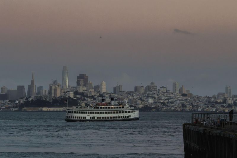 ¿Por qué están muriendo tantas ballenas grises en las aguas de la bahía de San Francisco?